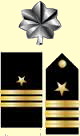 Navy Commander insignia